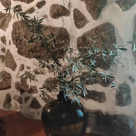 Casa Na Montanha Da Neve דירה *