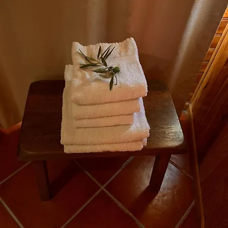 Апартаменты Casa Na Montanha Da Neve