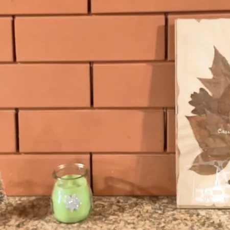 Casa Na Montanha Da Neve Seia