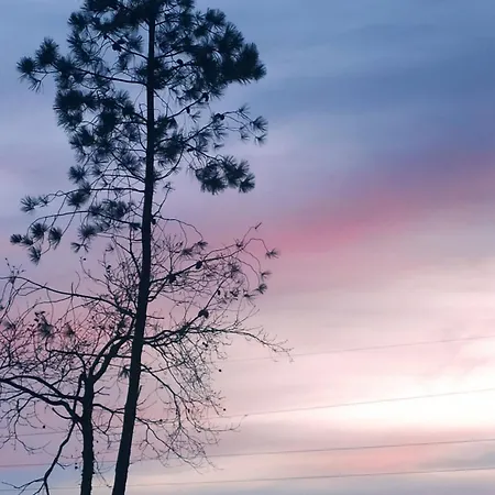 Casa Na Montanha Da Neve * Seia