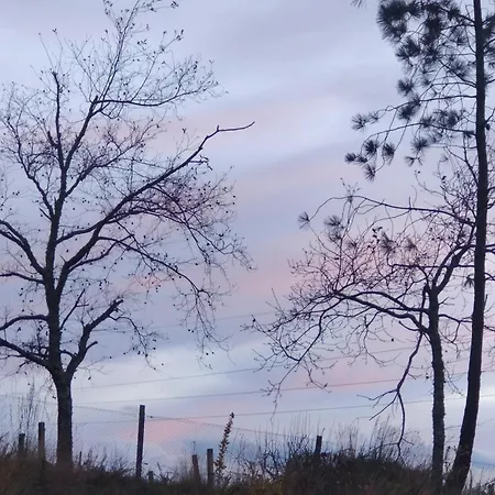Апартаменты Casa Na Montanha Da Neve