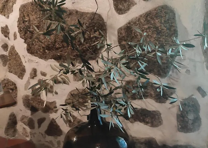 Casa Na Montanha Da Neve Apartamento *